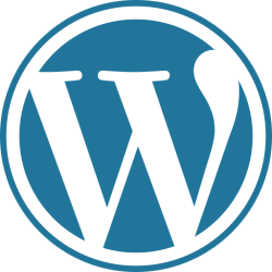 Wordpress papildomos kalbos pridėjimas