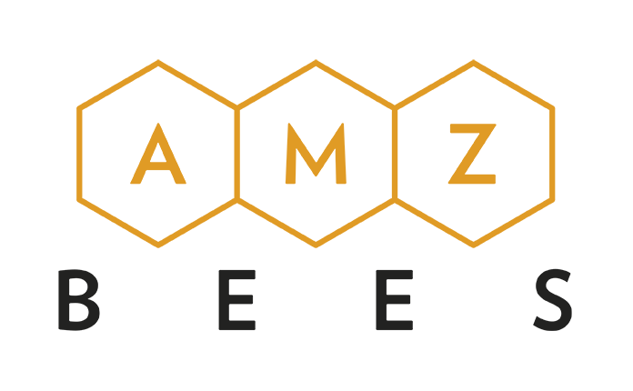 Project Logo